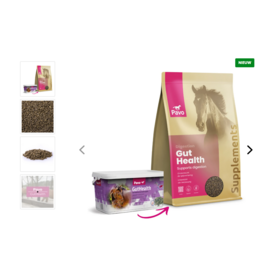 Pavo Pavo GutHealth 4,5 kg