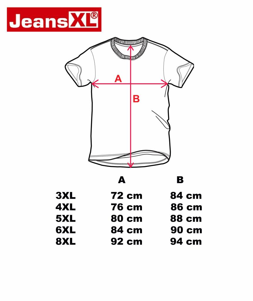 JeansXL Grote maten Lichtblauw T-shirt 3XL-8XL