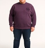 KAM Grote maten Fig   Sweater  2XL-8XL
