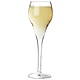 ARCOROC  Champagne flute 16 cl Brio