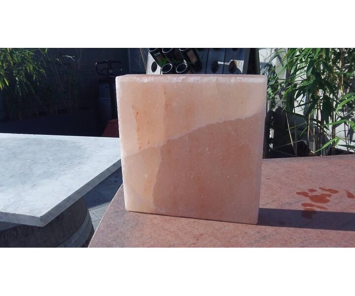 BISETTI  Pierre de sel rectangulaire 20 x30 x4 cm sur base en bois de wengé