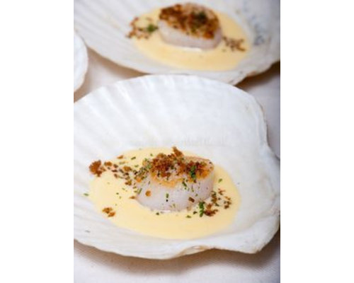 Schelp porselein 13 cm