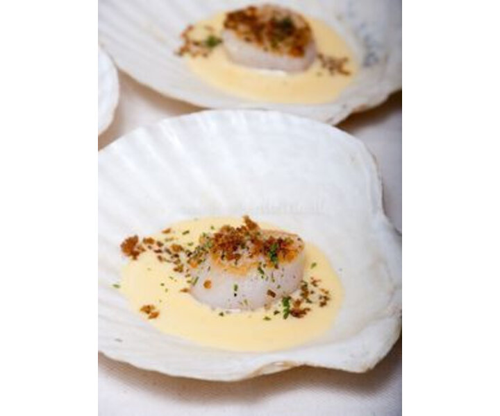 Coquille porcelaine 13 cm