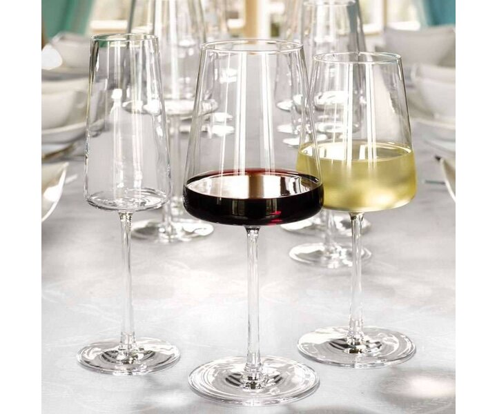 STÖLZLE  Flute à champagne  24 cl Power