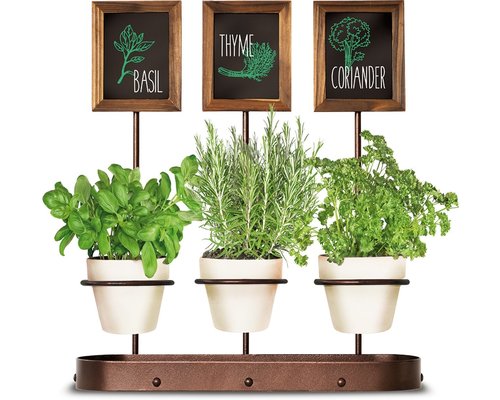 M&T Flessenhouder voor 3 flessen