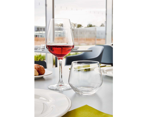 ARCOROC  Wineglass 50 cl Vina Juliette