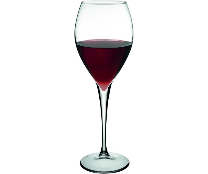 PASABAHCE Wine glass 45 cl Monte Carlo