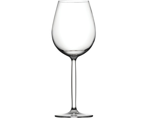 M & T  Wine glass  43 cl polycarbonate Sommelier