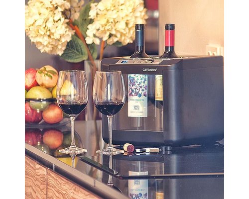 CAVANOVA Bottle cooler for 2 bottles