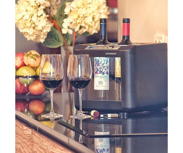 CAVANOVA Bottle cooler for 2 bottles