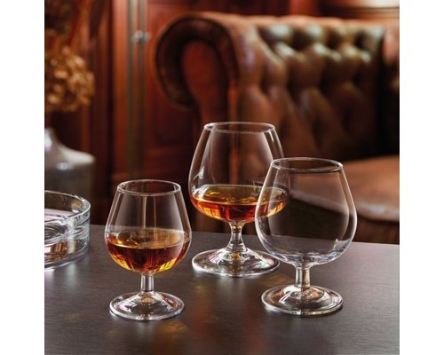 ARCOROC   Likeur- Cognac  glas 15 cl   " Dégustation "