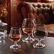 ARCOROC  Likeur  -  Cognac  glas 25 cl         " Dégustation "