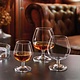 ARCOROC  Likeur  -  Cognac  glas 41 cl         " Dégustation "