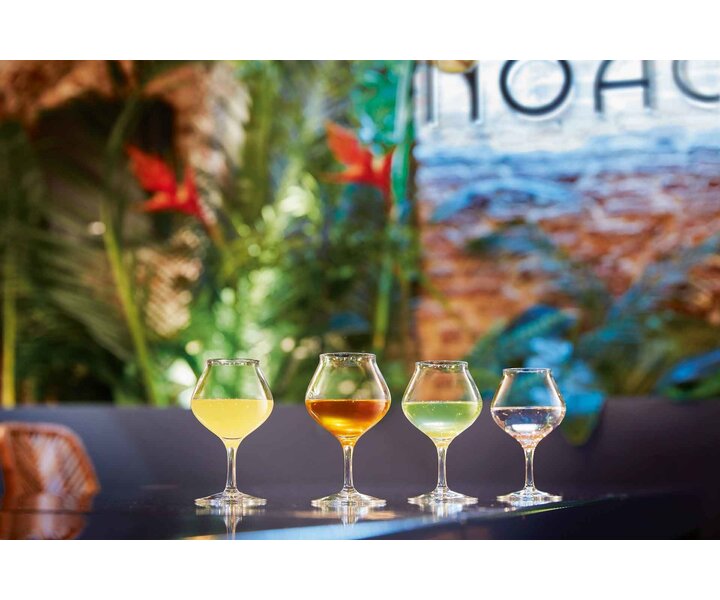 CHEF & SOMMELIER   Rhum taster  glass 17 cl