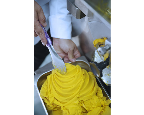 M&T Ijs spatel met gekleurde Tritan greep set van 4 stuks