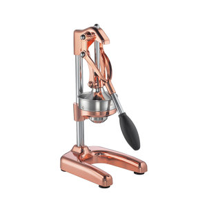 M & T  Manual juicer with copper parts