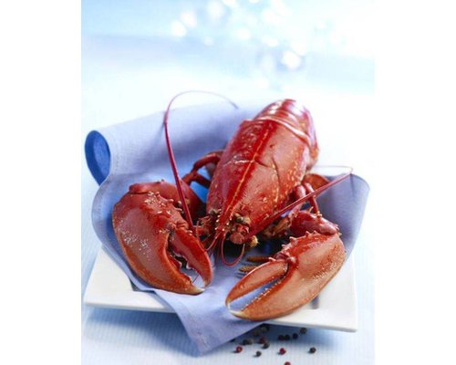 M&T Presse à canard et à homard  chromée