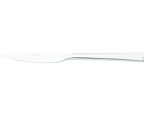 ETERNUM  Couteau de table Curve monobloc