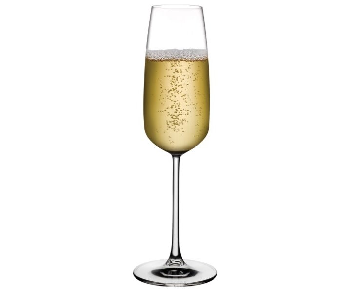 NUDE  Champagne flute 24,5 cl  " Mirage "