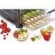 BUFFALO Food dehydrator electric with 10 trays