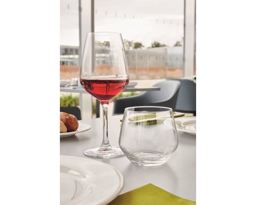 LUMINARC  Wine glass 30 cl footed  " Vinetis "