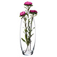 M & T  Flower vase h 27 x Ø  9 cm " Flora Bombé "