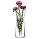 M & T  Flower vase h 26,5 x Ø  10,5 cm " Flora Conique  "
