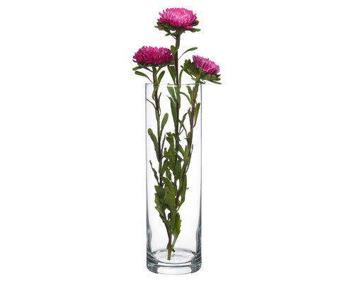 M & T  Vase h 26,5 x Ø  11,5 cm " Flora droit Cylindrique  "