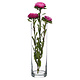 M & T  Flower vase h 26,5 x Ø  11,5 cm " Flora Droit  Cylindrique "