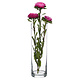 M&T Vase h 26,5 x Ø  11,5 cm " Flora droit Cylindrique  "