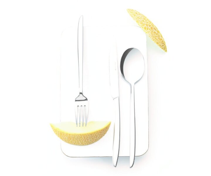 ETERNUM  Dessert spoon  " ORCA "