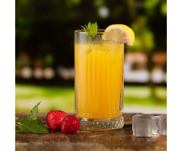 PASABAHCE Highball  / Cocktail / gin & tonic glas 44,5 cl  " Elysia  "