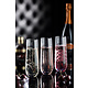 UTOPIA  Champagne / cocktail glass 30 cl "Raffles Lines "