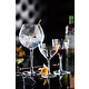 UTOPIA  Gin glass 70 cl "Raffles  Diamond "