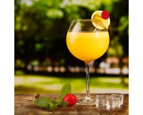 UTOPIA  Verre à gin 70 cl " Raffles Diamond "