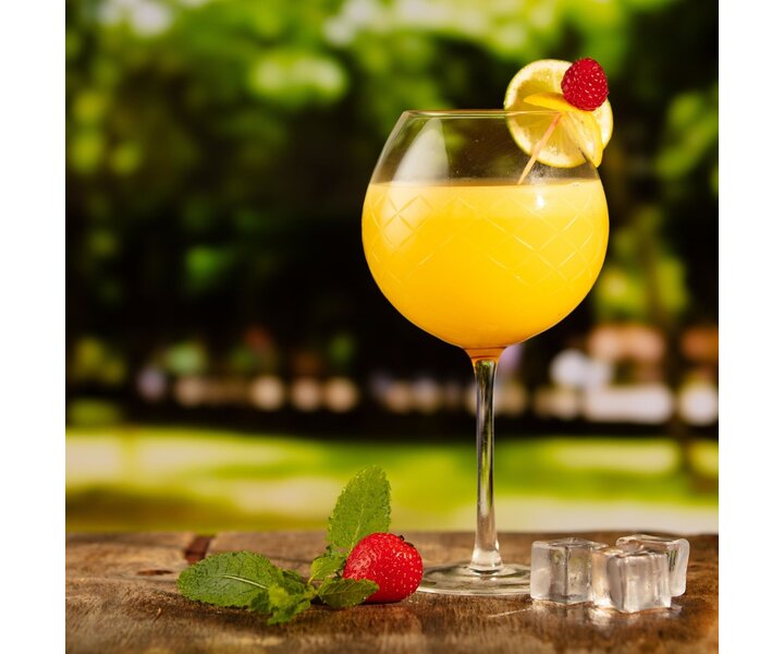 UTOPIA  Verre à gin 70 cl " Raffles Diamond "