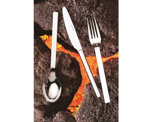 ETERNUM  Dessert fork Galaxy