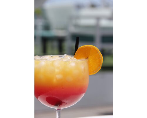 M&T Verre à gin & tonic 57 cl fabrication en matière plastique blanche PETG incassable