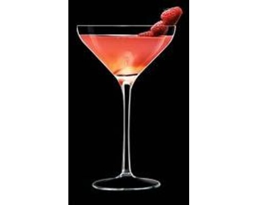 ARCOROC  Champagne & cocktail coupe 21 cl Brio