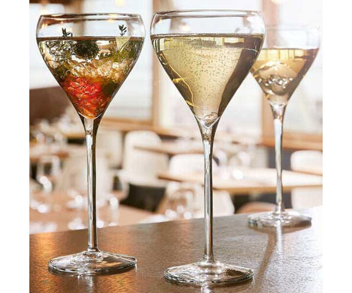 ARCOROC  Coupe à Champagne & cocktail  21 cl Brio