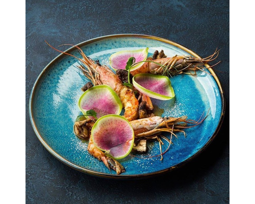 F2D Plat bord  31 cm Nova Blue