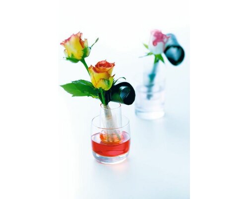 CHEF & SOMMELIER  Shotglas - Amuse glas 6 cl   " Vigne "