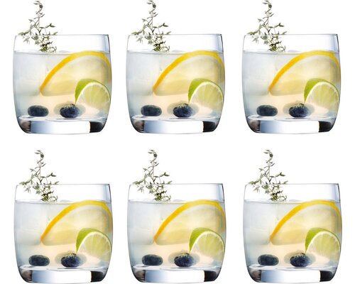 CHEF & SOMMELIER  Whisky tumbler glas 20 cl   " Vigne "