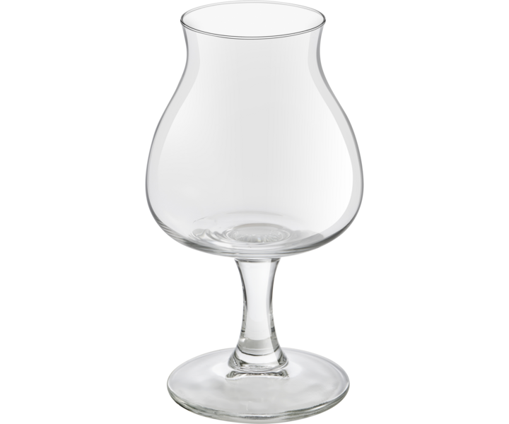 ROYAL LEERDAM  Bierglas 25 cl " Bier proefglas "