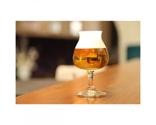 ROYAL LEERDAM  Beer glass 25 cl " Beer tasting glass "