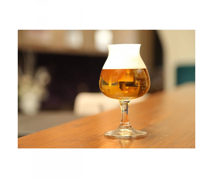 ROYAL LEERDAM  Beer glass 25 cl " Beer tasting glass "