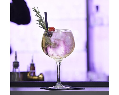 ROYAL LEERDAM  Verre à  cocktail - Gin tonic 65 cl
