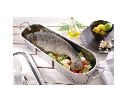 M & T  Fish kettle stainless steel 50 x 17 cm