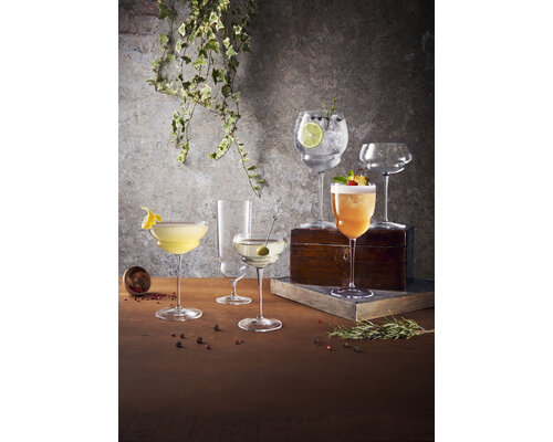 LUIGI BORMIOLI  Gin & Tonic glas 80 cl " Backdoor '20s "