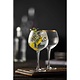 LYNGBY Gin & Tonic glas 65 cl  " Palermo Gold "